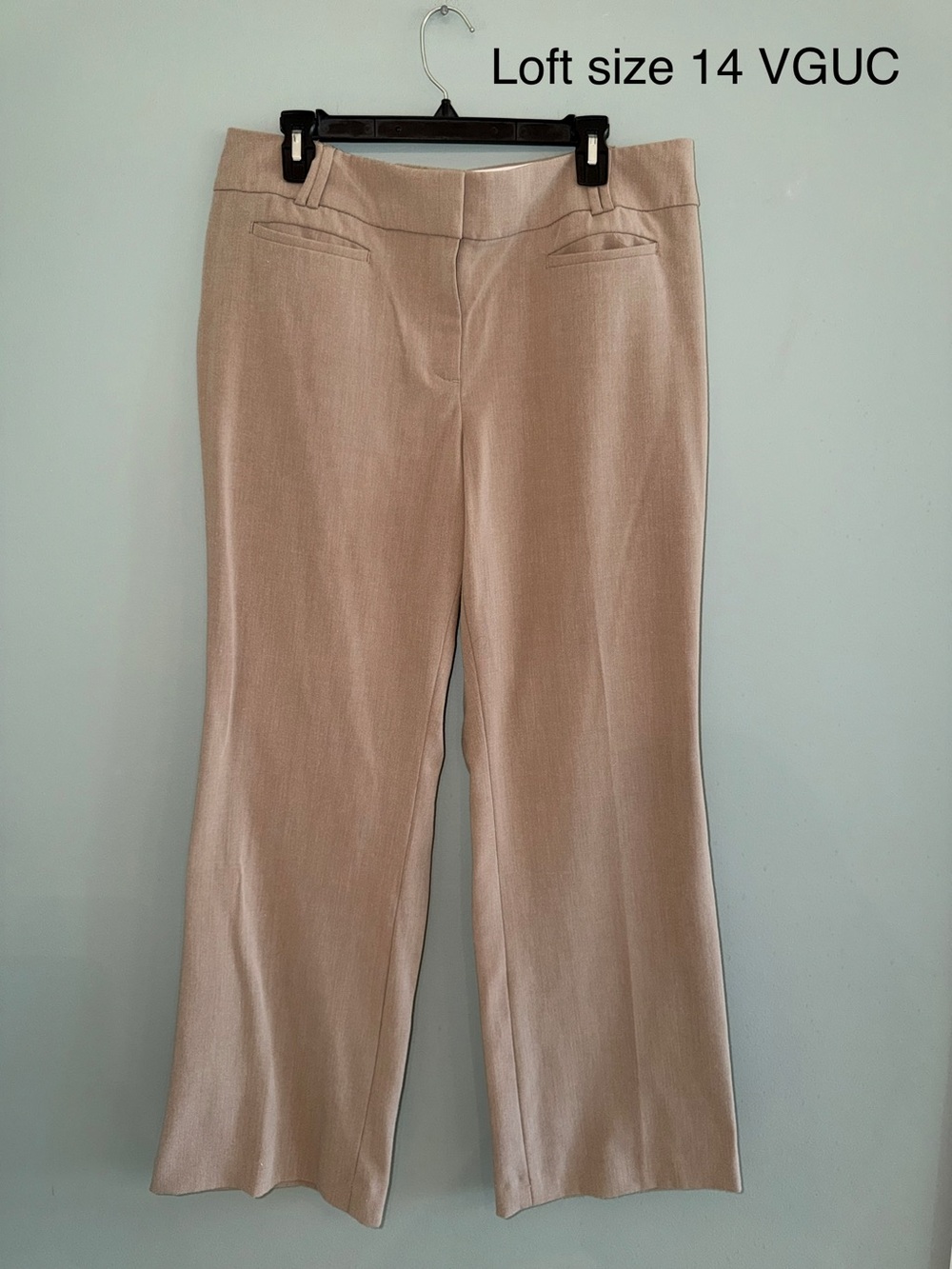 Ann Taylor LOFT Sandstone Straight-Leg Dress Pants - Size 14